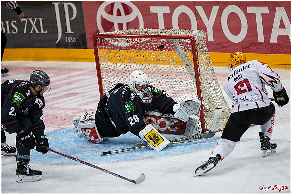 DEL, Koelner Haie - Fishtown Pinguins Bremerhaven, 29.01.2017